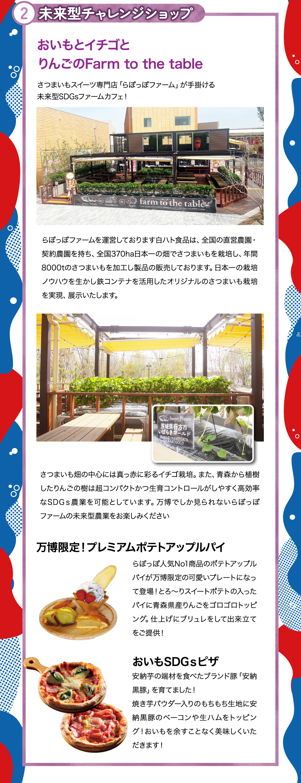 ②未来型チャレンジショップ
おいもといちごとりんごのFarm to tha table
らぽっぽが手掛ける未来型SGDｓファームカフェ！

日本一の栽培ノウハウを生かし鉄コンテナを活用したオリジナルのさつまいも栽培を実現、提示しております。

万博限定！プレミアムアップルパイ
おいもＳＤＧｓピザ
