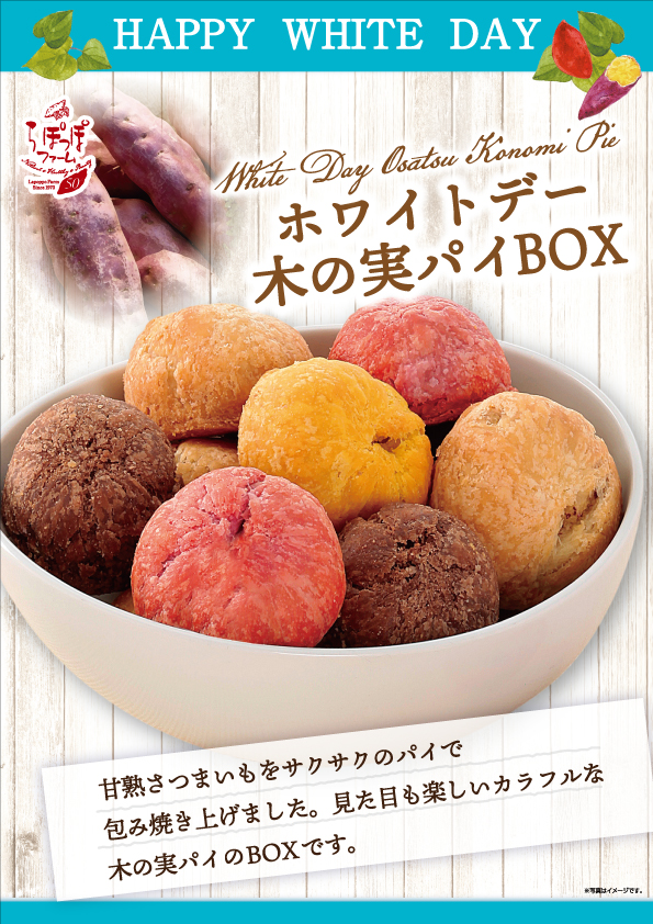 ホワイトデー木の実パイBOX